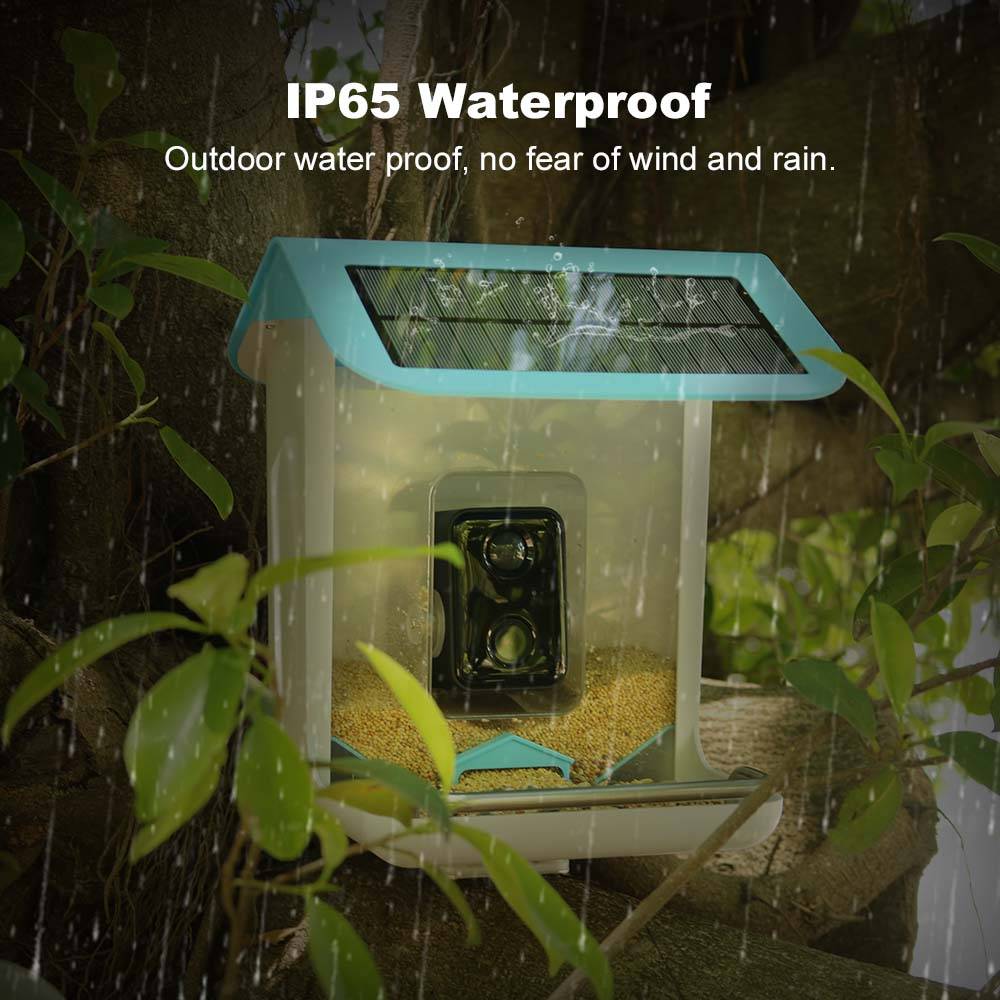 Kamera Wifi Satwa Liar STLFOut - Smart Garden Video ulasan dan harga