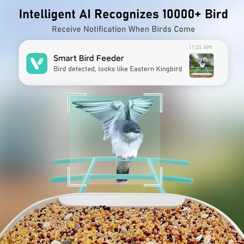 Kamera Pemantau Burung Pintar  - Smart Garden Video ulasan dan harga