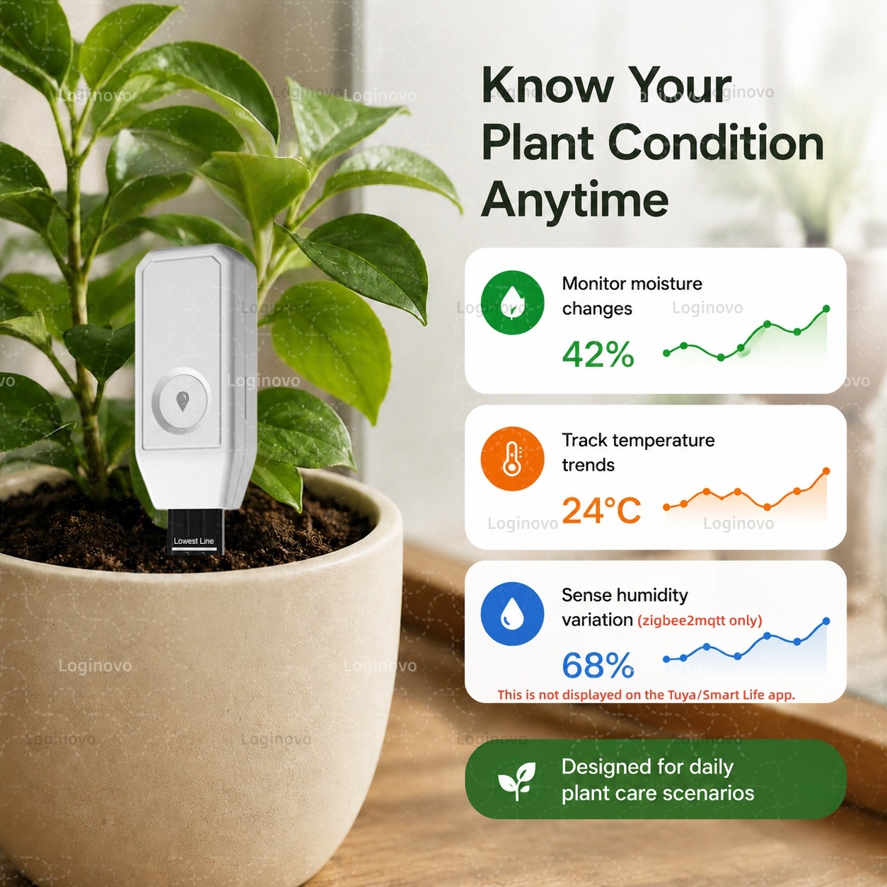 TUYA Zigbee Penguji Tanah Sens - Smart Garden Home Assistant ulasan dan harga
