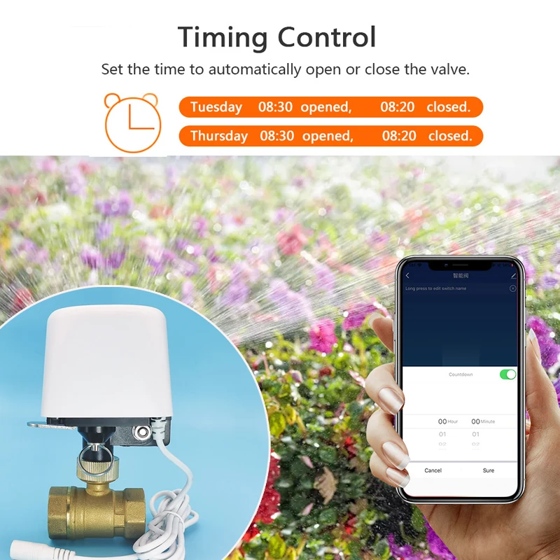 Katup Air Tuya Zigbee Wifi 1/2 - Smart Garden Home Assistant ulasan dan harga
