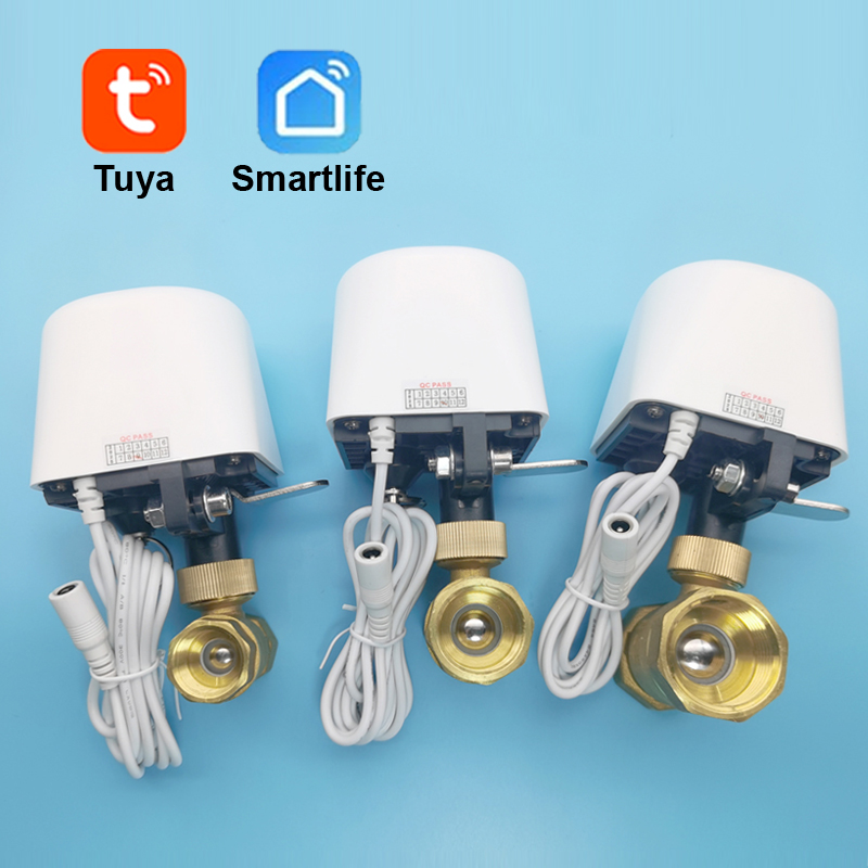 Katup Air WiFi Zigbee Tuya Pin - Smart Garden Home Assistant ulasan dan harga