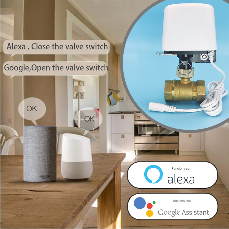 Katup Air WiFi Zigbee Tuya Pin - Smart Garden Home Assistant ulasan dan harga