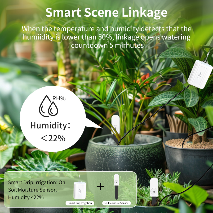 Pengukur Kelembapan Tanah, Sen - Smart Garden Home Assistant ulasan dan harga