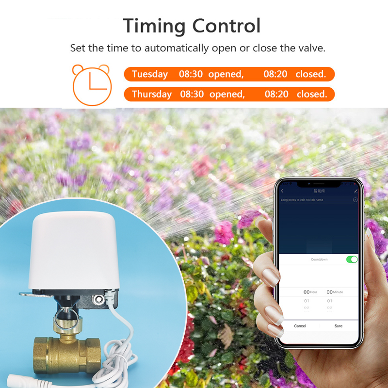 Katup Air Wifi Zigbee Tuya Pen - Smart Garden Home Assistant ulasan dan harga