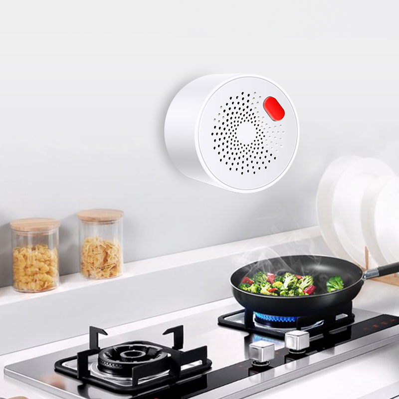 Tuya Sensor Gas alami Wifi rum - Smart Garden Home ulasan dan harga