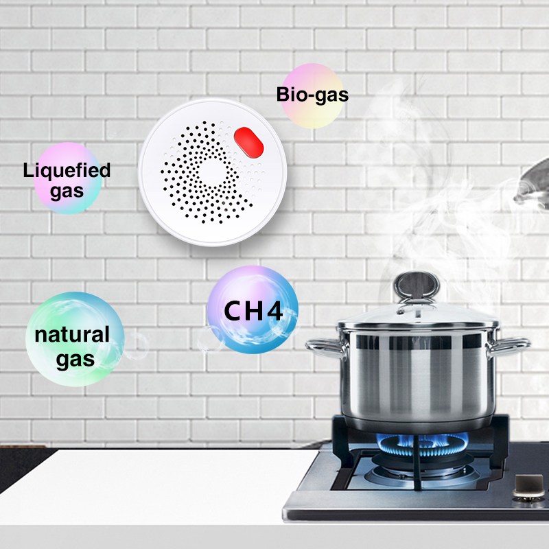 Tuya Sensor Gas alami Wifi rum - Smart Garden Home ulasan dan harga